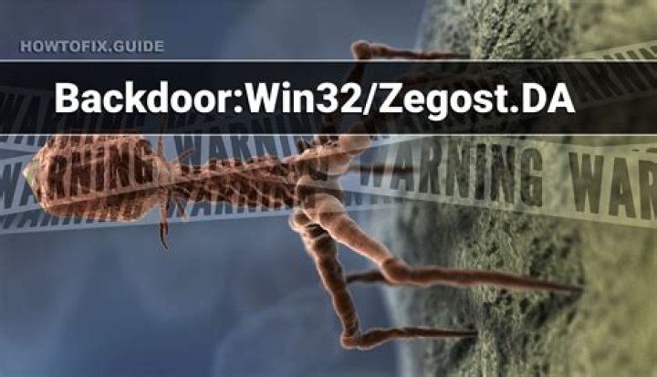 Backdoor:Win32/Zegost.DS