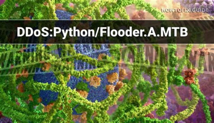 DDoS:Python/Flooder.A.MTB — Virus Removal Guide